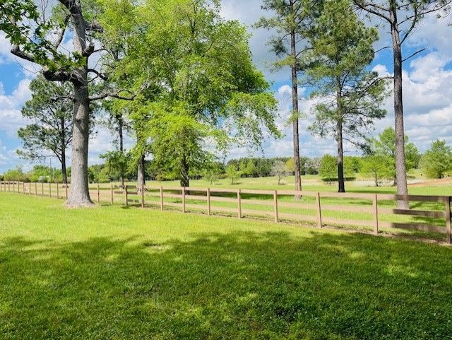 A wooden fence separates a lush green lawn from a line of tall, leafy trees under a bright blue sky with puffy clouds.
