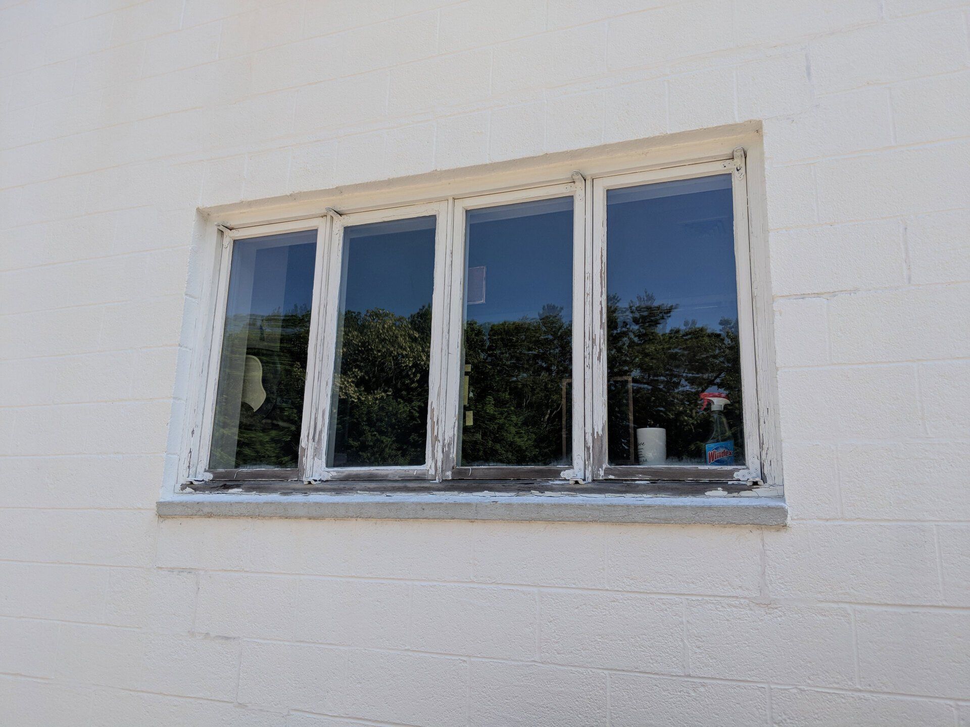 Window