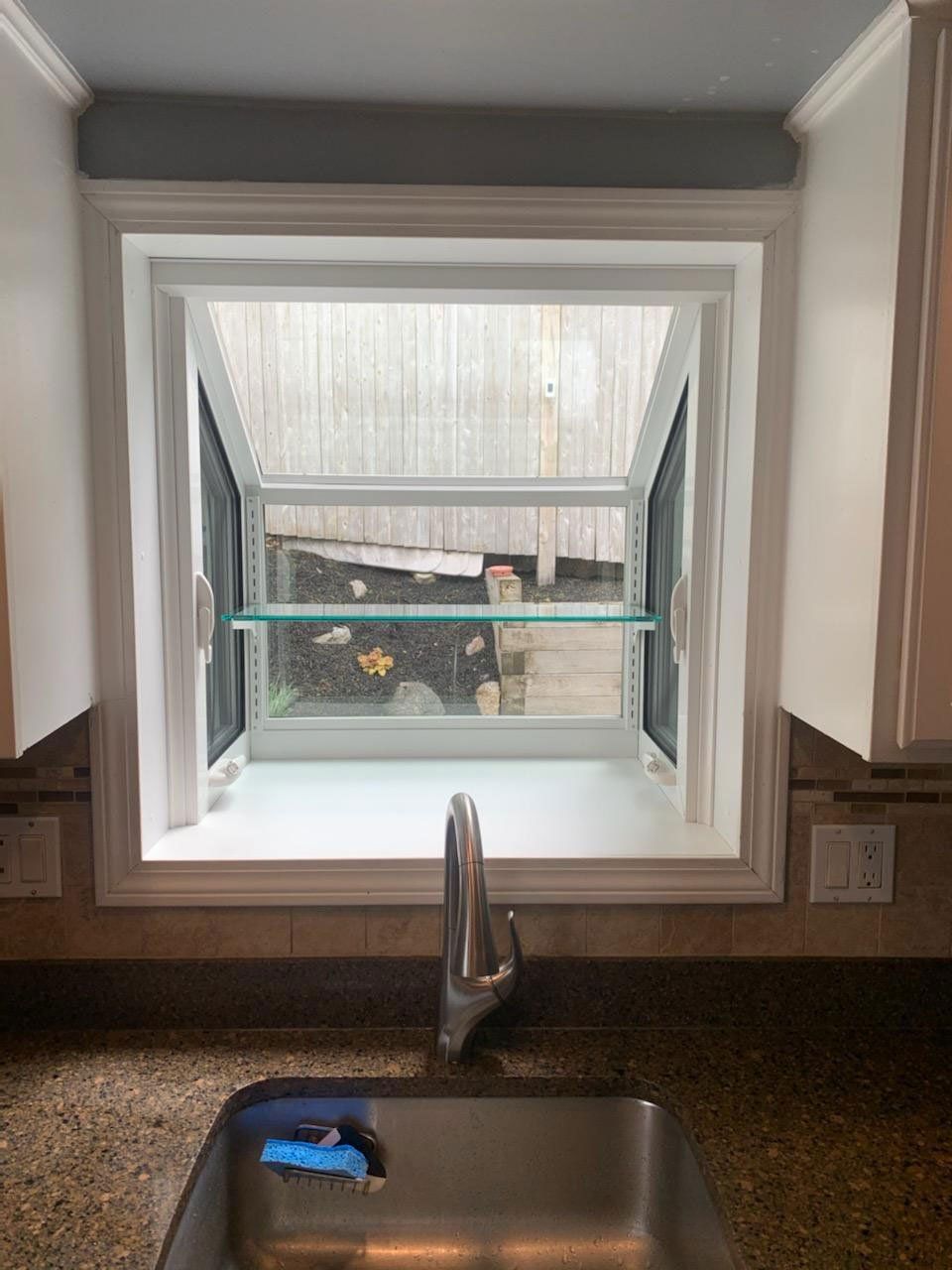 Window