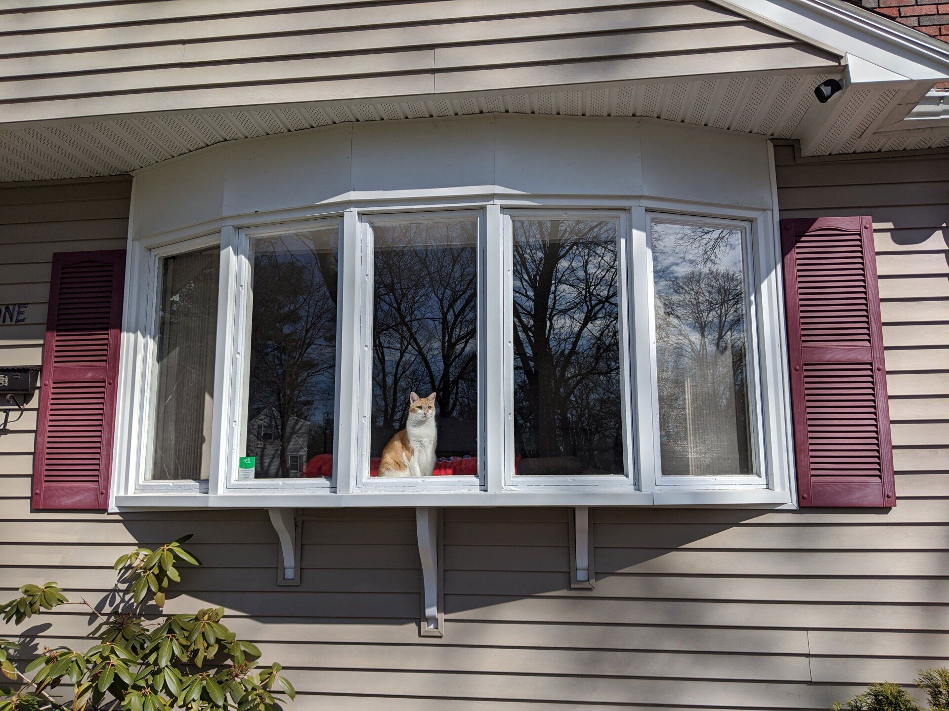 Window