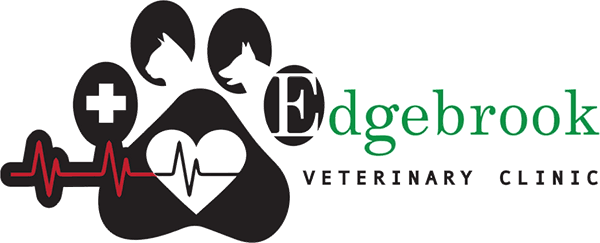 Vca edgebrook hot sale animal hospital