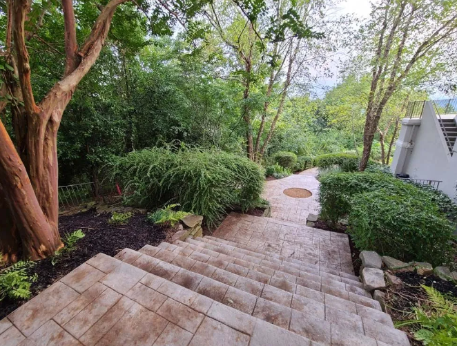 Stone steps descend into a garden with overgrown bushes, trees, and a building on the right.