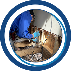 Water damage service