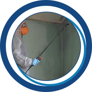 Mold remediation expert