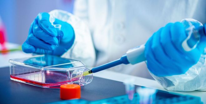 CTK Healthcare and Career Institute
