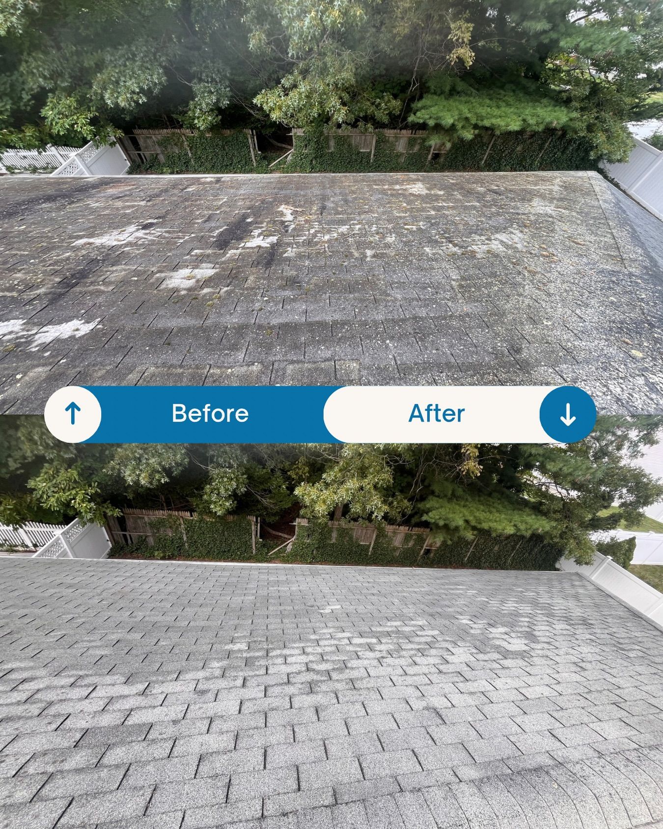 Before and after roof cleaning: stained, dirty roof transforms to clean, gray shingles.
