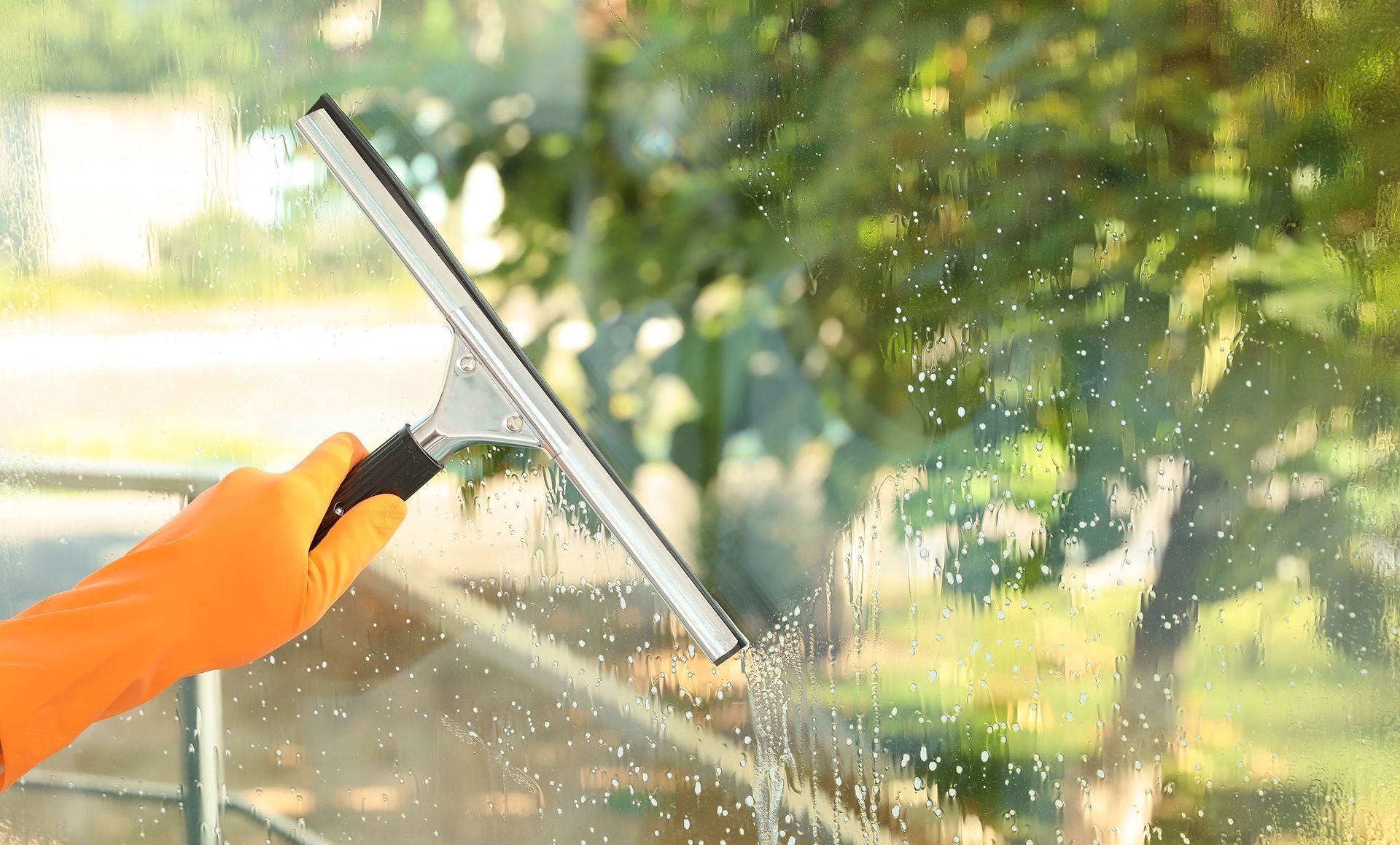 Gloved hand using a squeegee to clean a window with blurred green foliage in the background.