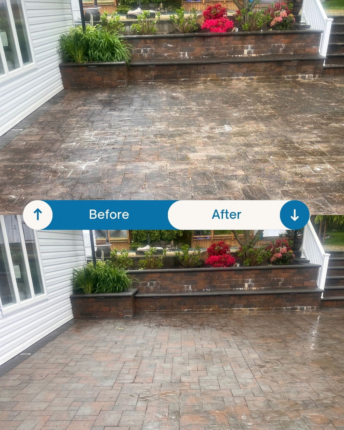 Comparison of a patio before and after cleaning: dark brick pavers, red flowers, and planter boxes.