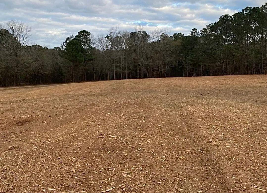 Brown field with dry grass, trees in background, cloudy sky.
