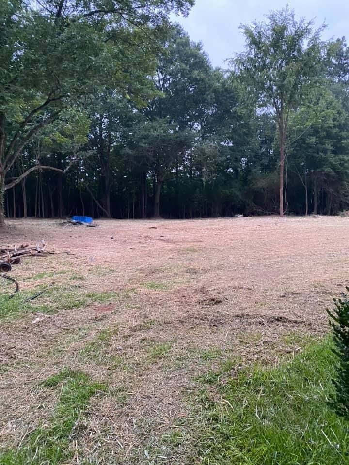 Grassy, cleared area in front of a line of trees on a cloudy day.