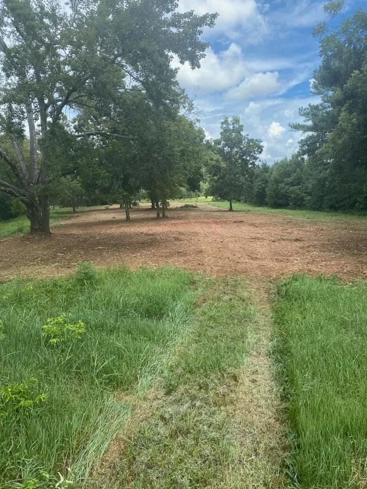 Grassy field with a cleared center, surrounded by trees under a cloudy sky.