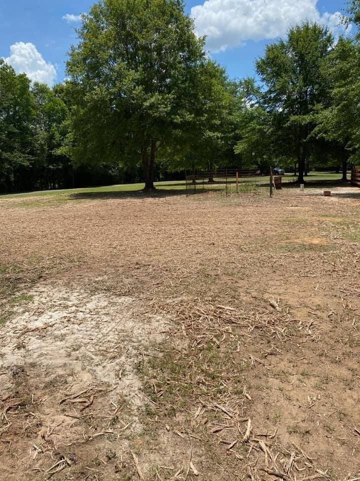 Grassy field with sparse vegetation, trees in the background, blue sky with clouds.