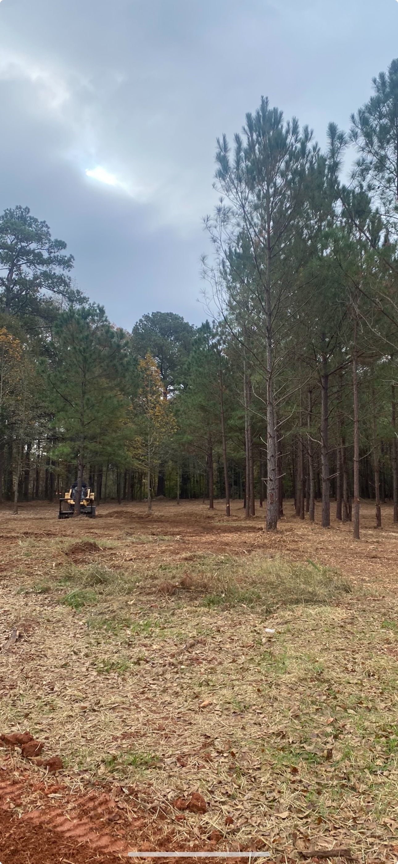 Hands cupping dark brown mulch, outdoors.