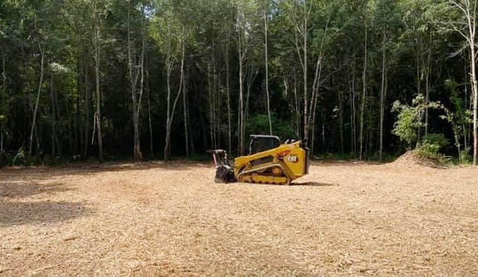 Yellow skid steer in a cleared area with a forest background.