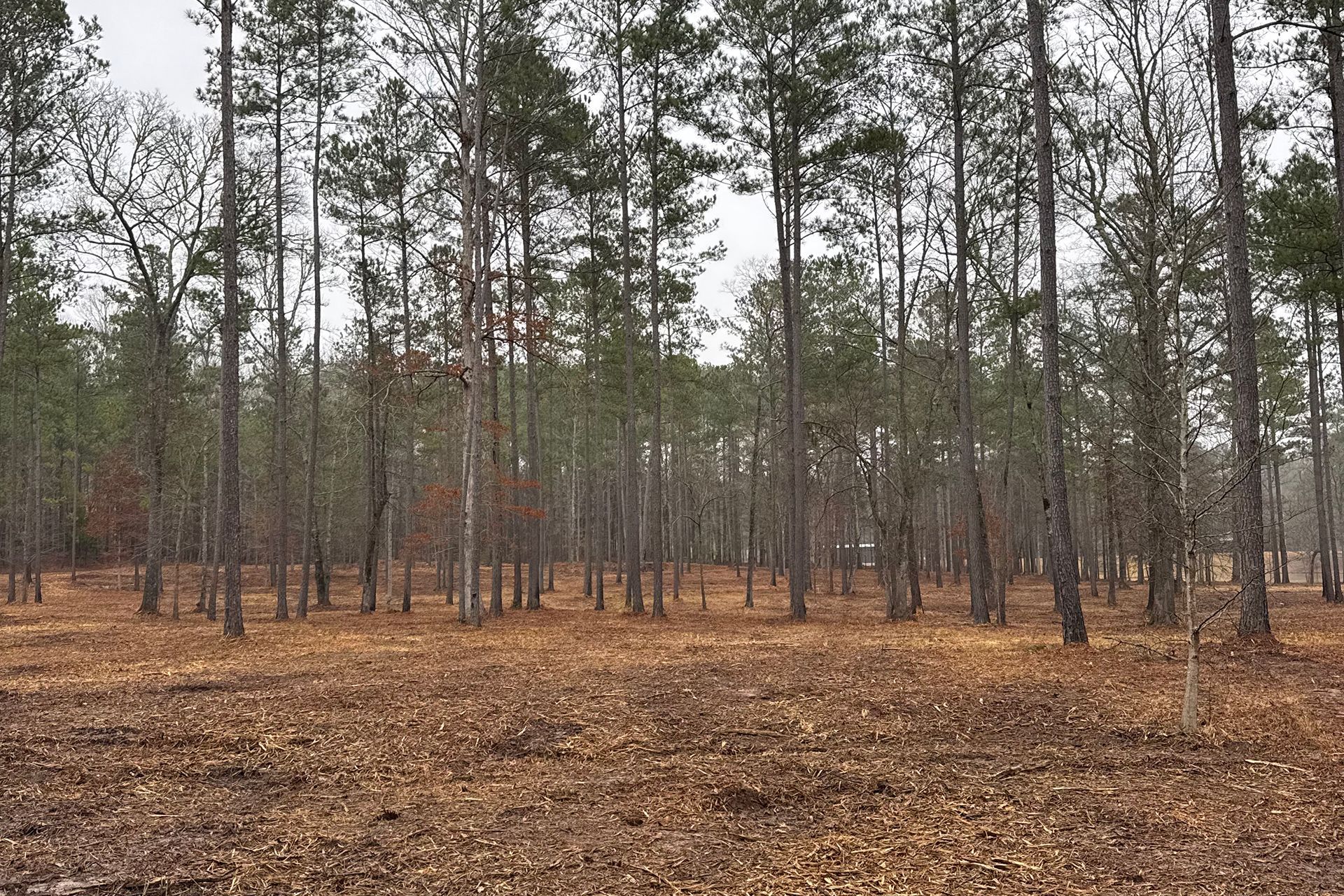 Ballard Land Management Services, LLC