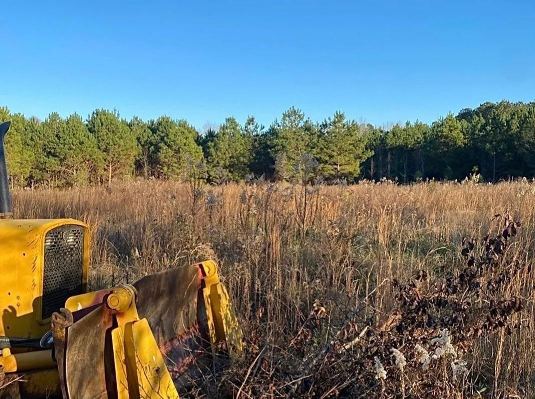Yellow bulldozer clearing tall, dry grass in a field, with a line of trees in the background under a blue sky.