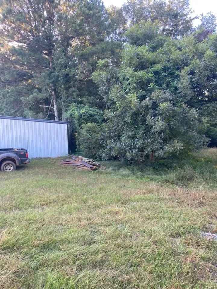 Grassy yard with shed, trees, and pickup truck.