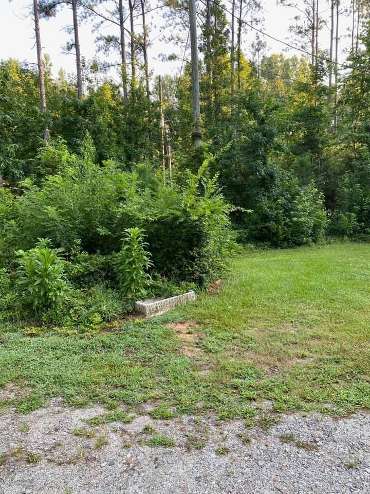 Grassy yard with dense green bushes and trees in the background. A light colored concrete block sits on the edge.