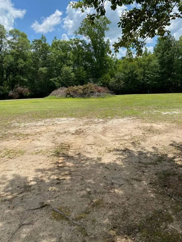 Grassy field with a pile of brush in the distance, blue sky, and trees. Shadows in the foreground.