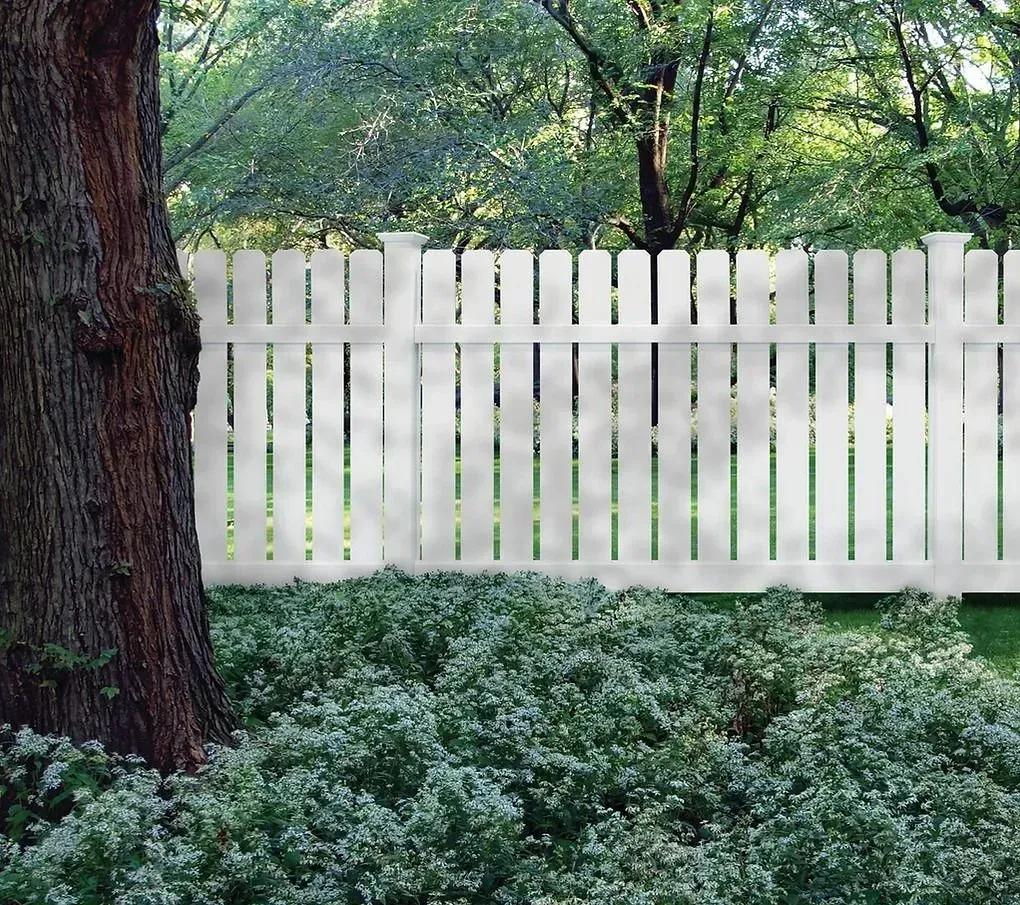 White picket fence behind a large tree, with dense green ground cover in a wooded yard.