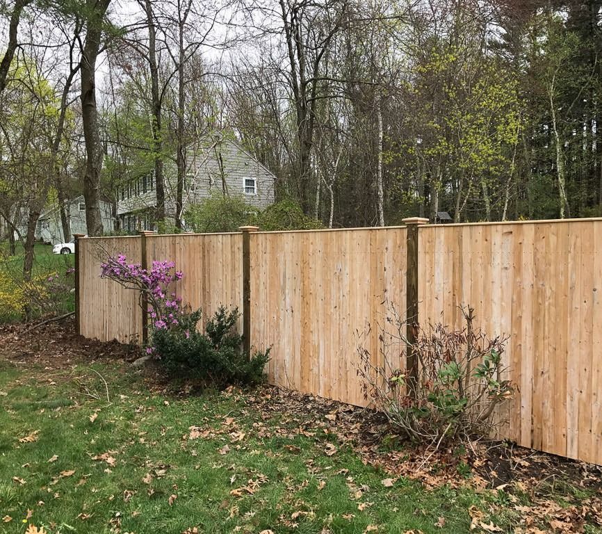 Wooden privacy fence along a grassy yard with shrubs and bare trees in a wooded backyard.