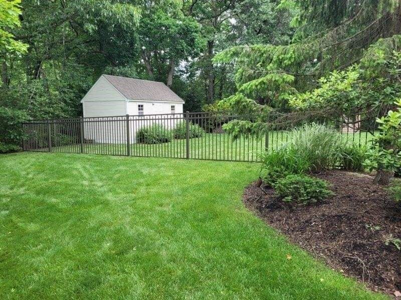 Backyard lawn with a white shed, black fence, and landscaped garden bed by trees