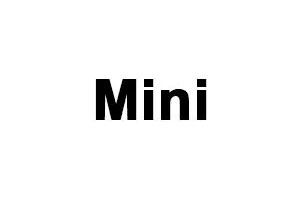 The word mini is written in black on a white background.