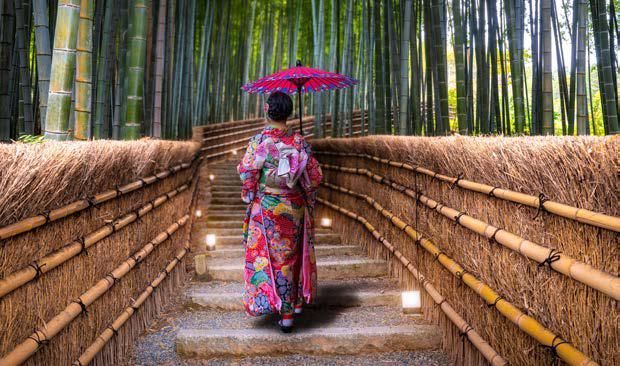 A woman in a kimono is walking down stairs in a bamboo forest holding an umbrella.