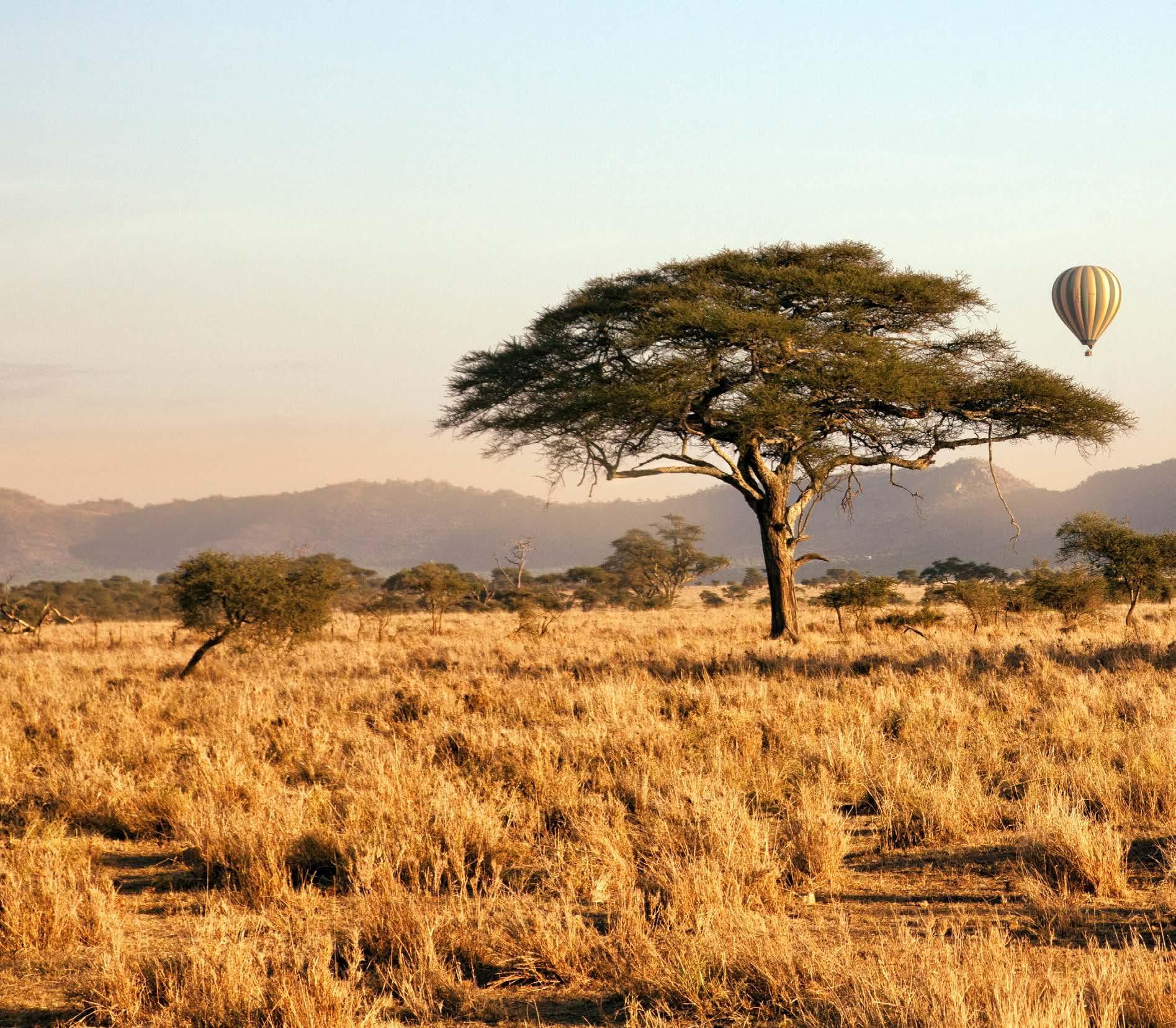 A hot air balloon is flying over a tree in a field