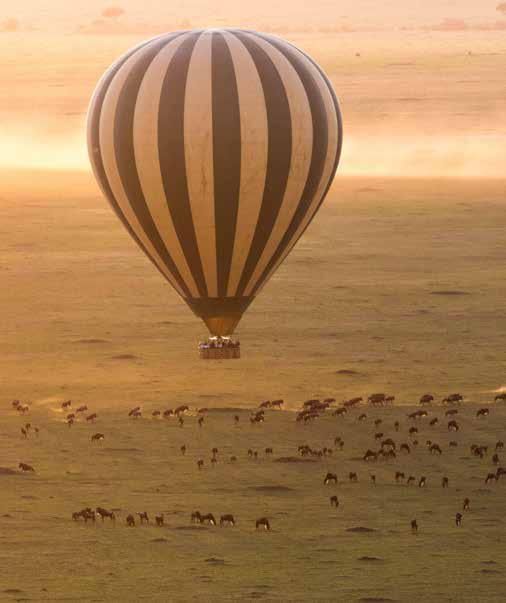 A hot air balloon is flying over a field of zebras