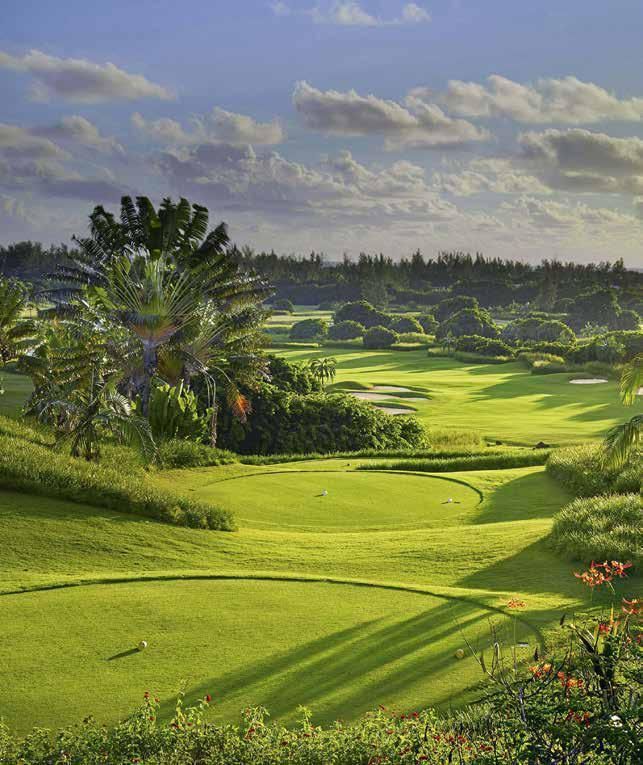 A golf course with a lot of green grass and trees