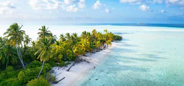 An aerial view of a tropical island with palm trees and a white sandy beach.