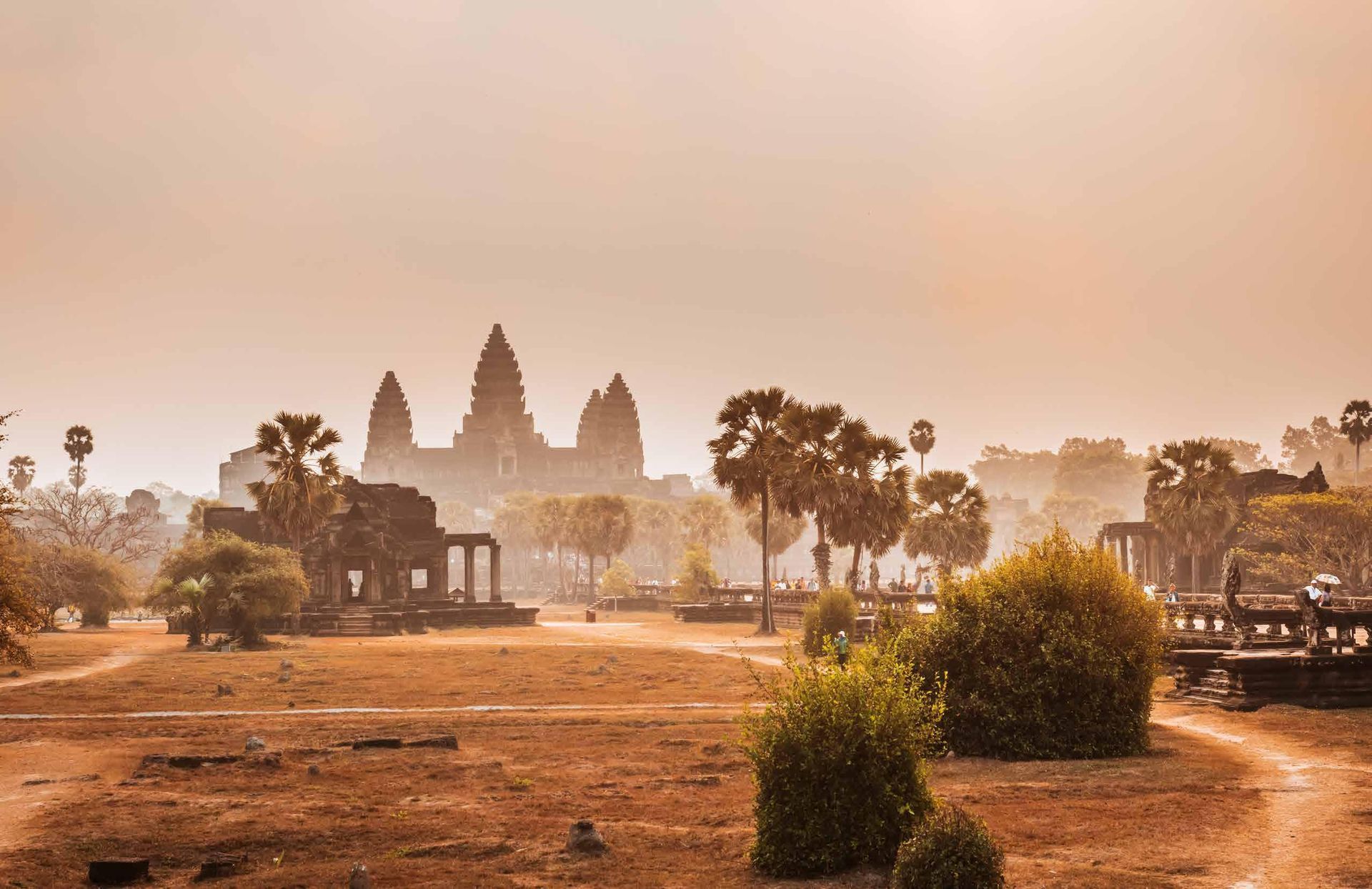 There is a temple in the background with a lot of trees in the foreground.