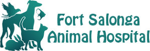 Fort Salonga Animal Hospital – Veterinarian | Fort Salonga, NY