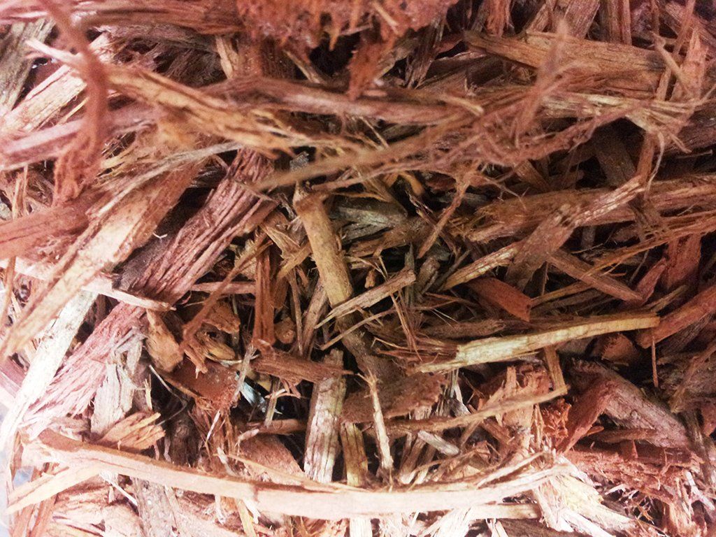 Red Mulch