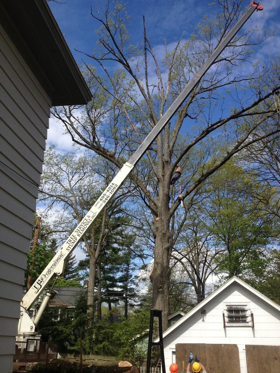 Truck tree service
