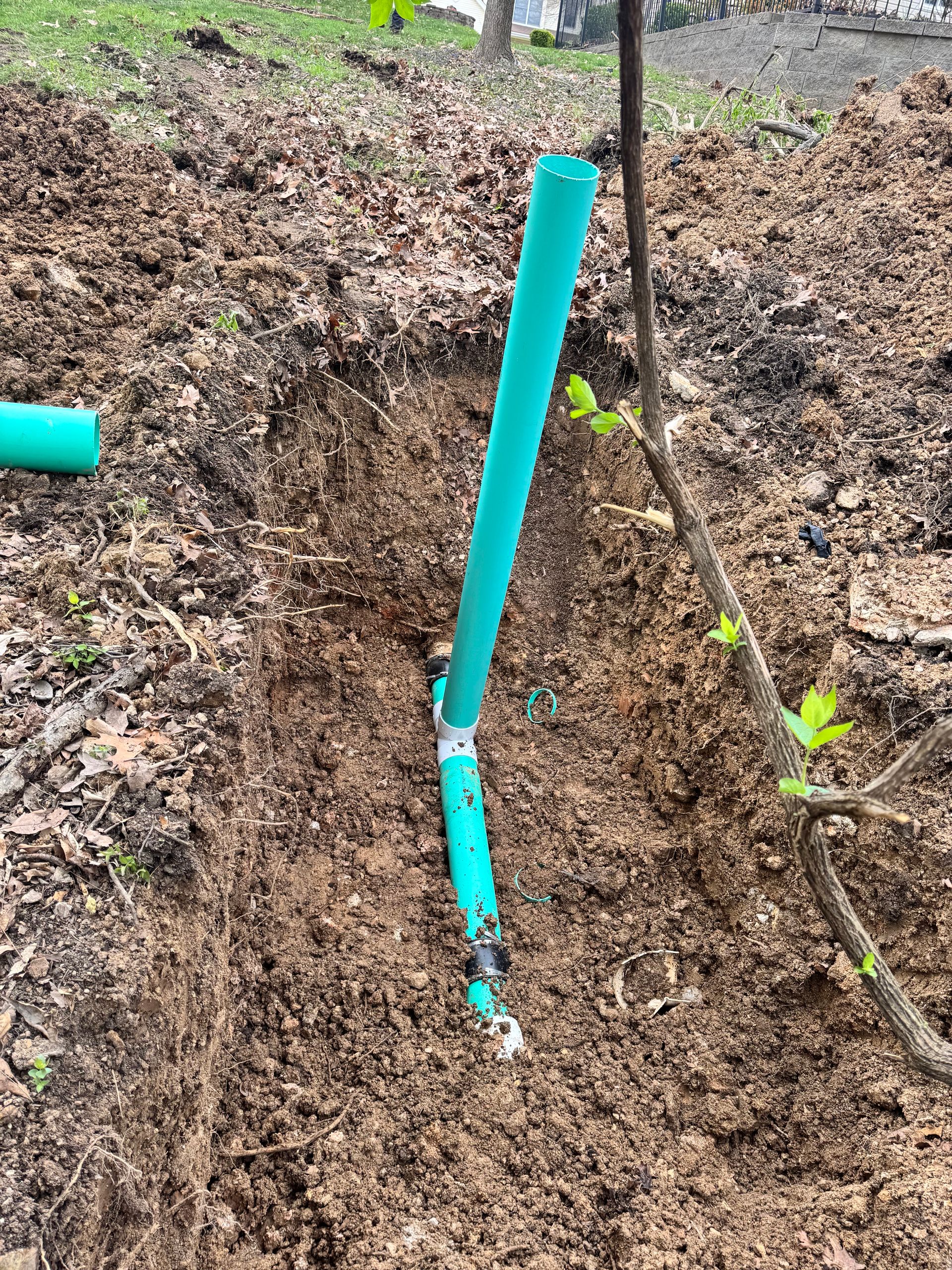 Green PVC pipes in a dirt trench, possibly for irrigation or plumbing; a young tree is nearby.