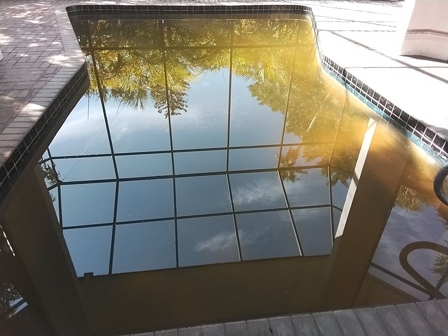 A swimming pool with a reflection of trees in the water.