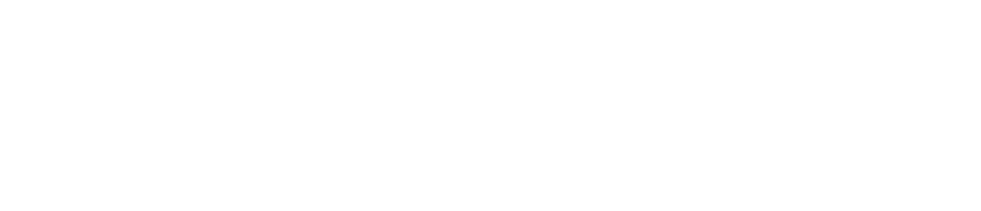 21st Century Home Care - Logo