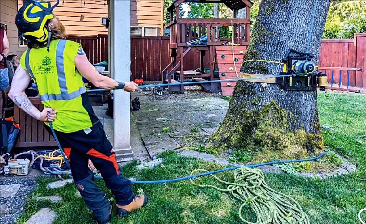 A man is cutting a tree with a chainsaw in a backyard.
