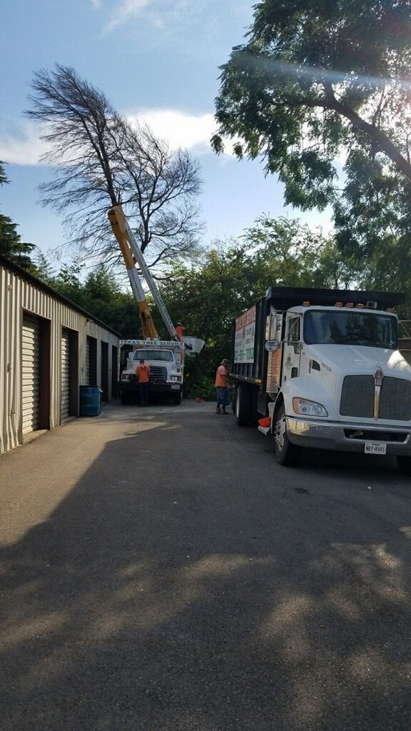 Tree removal operation. Crane, truck, and workers next to storage units on a sunny day.