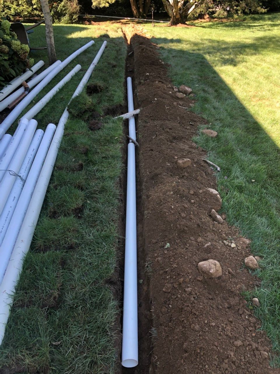 A bunch of white pipes are laying in the dirt in a yard.