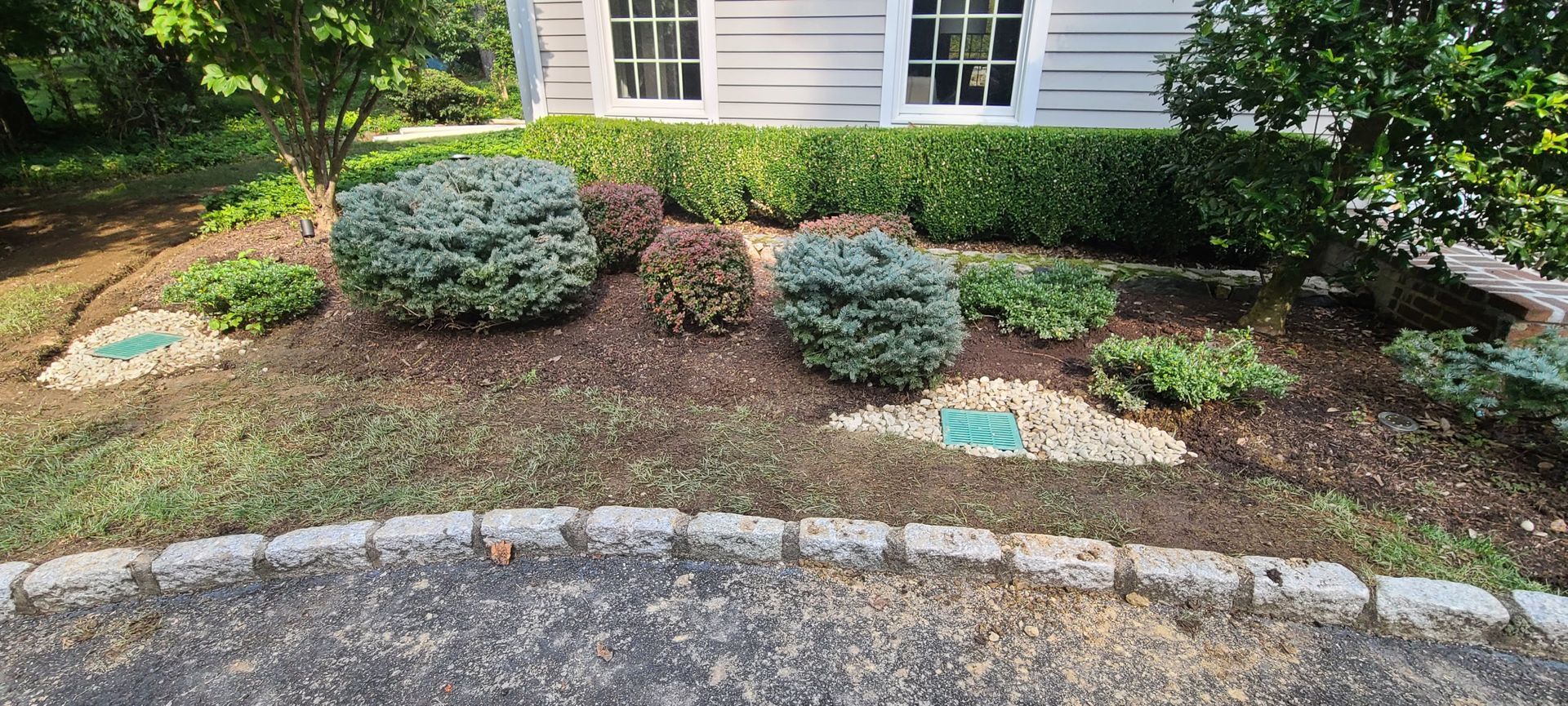 A lawn with a lot of plants and bushes in front of a house.
