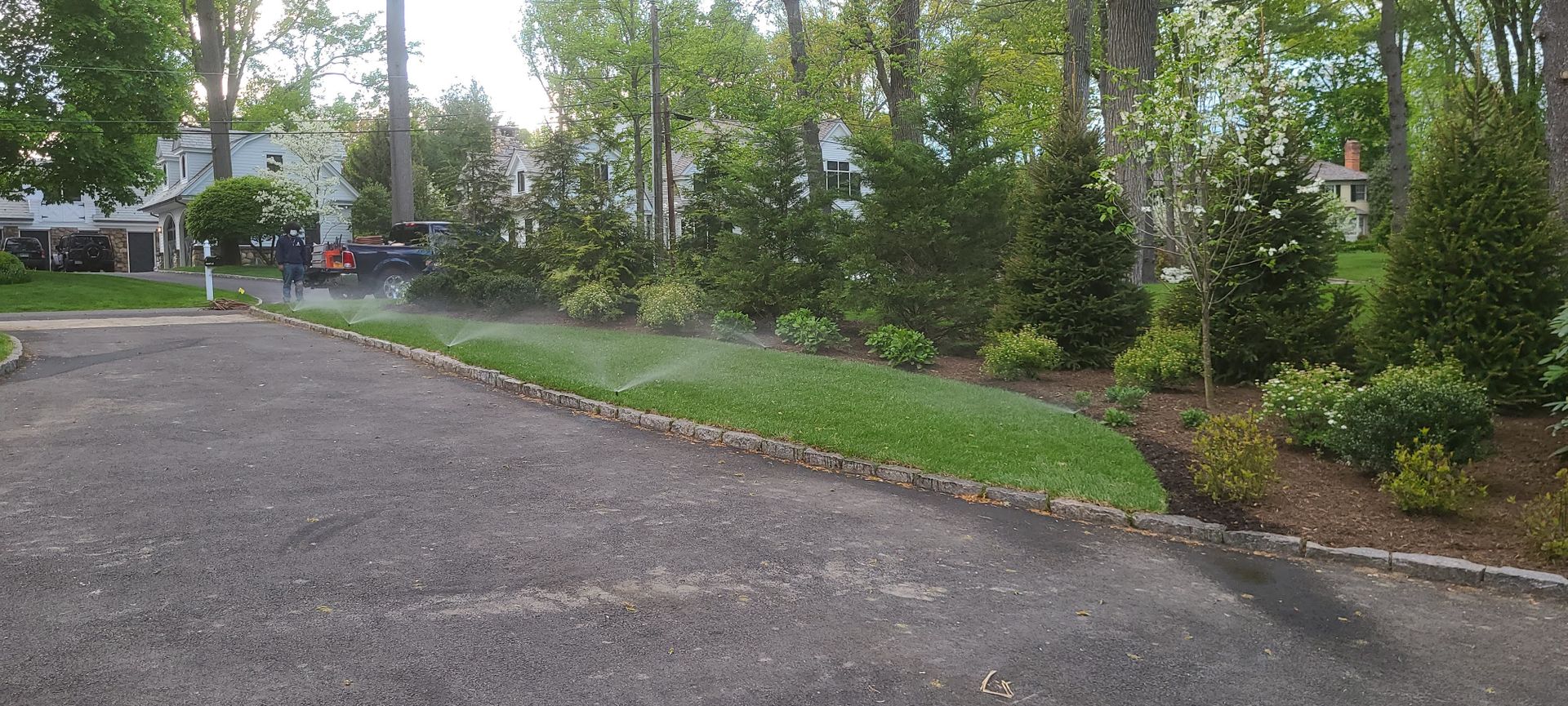 A sprinkler is spraying water on a lush green lawn.