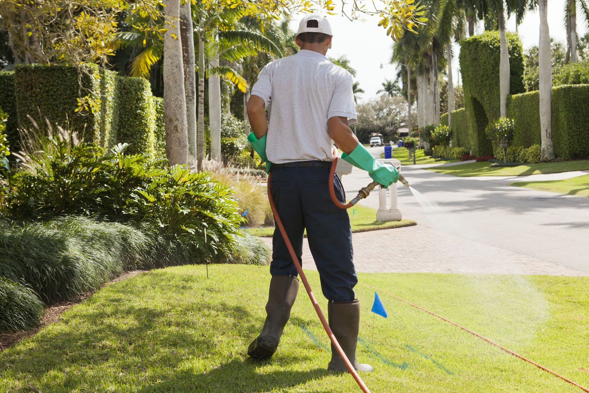 local mosquito removal services
