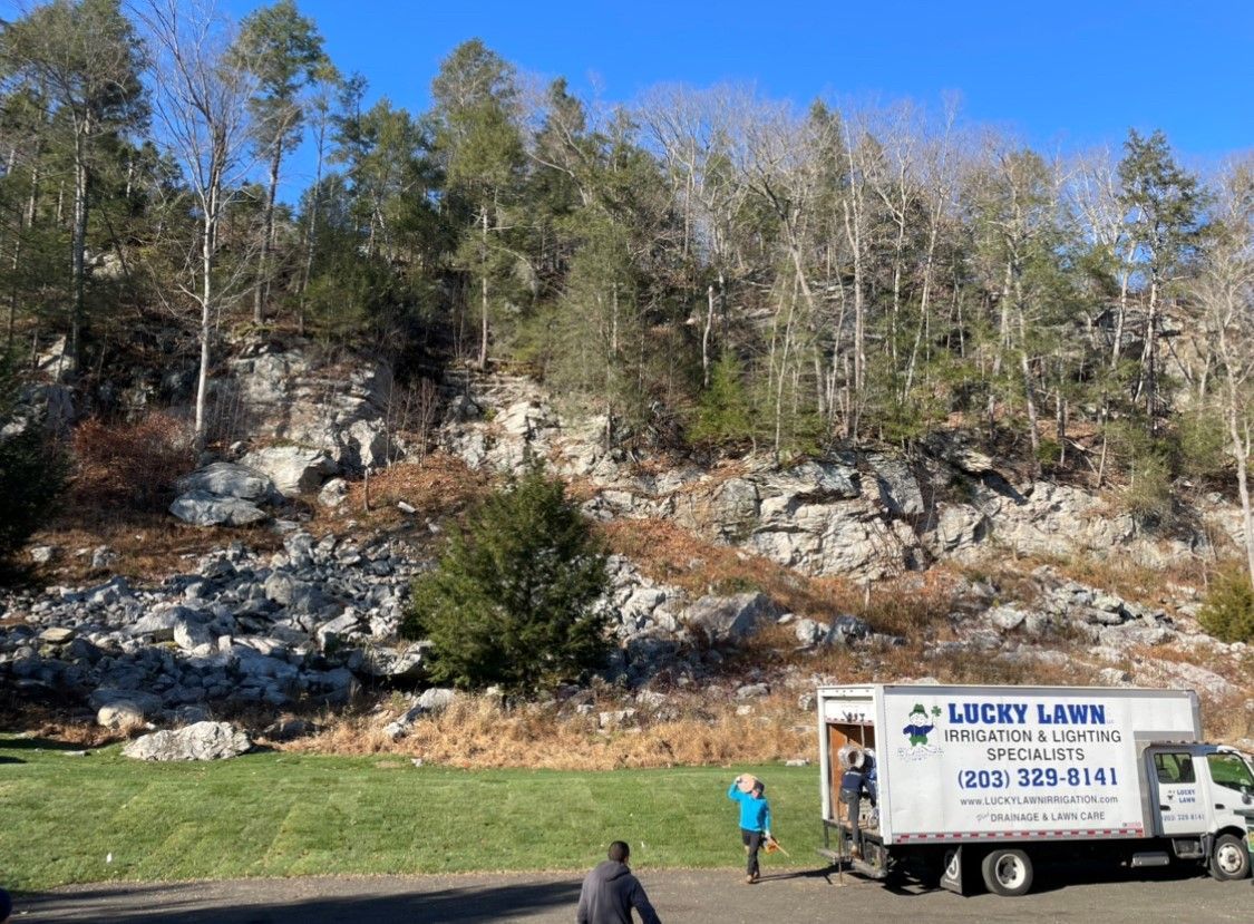 Lucky Lawn crew gathering tools from their service truck