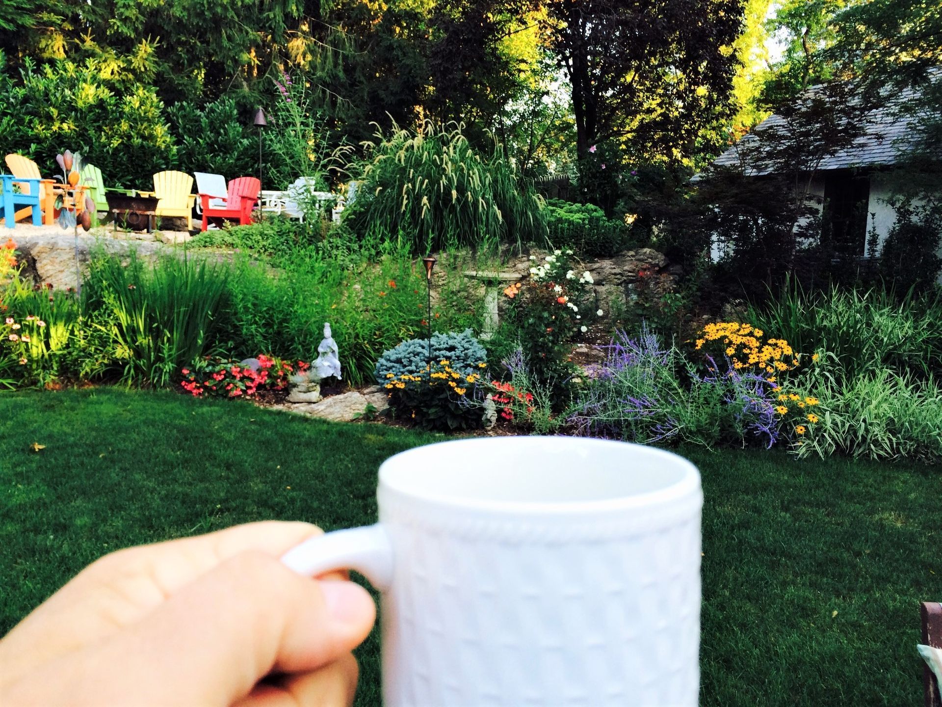 Hand holding a mug in front of a beautiful garden