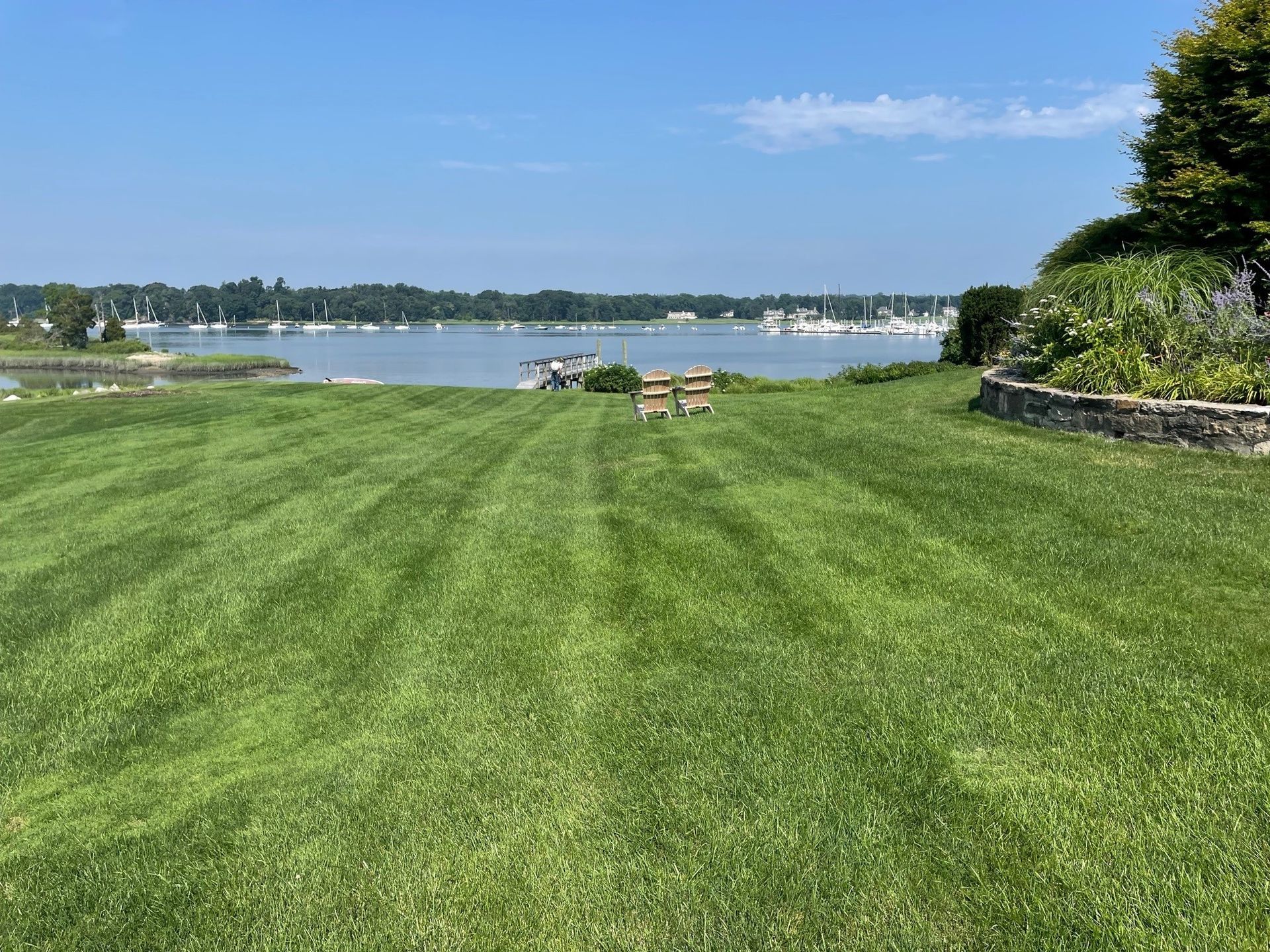 Lovely lawn adjacent to a lake