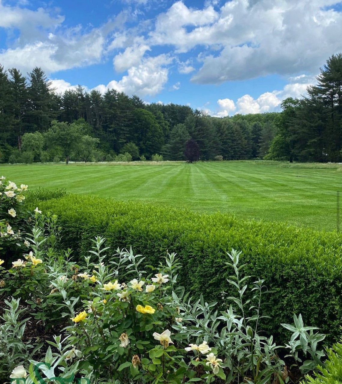 An immense, well-maintained lawn