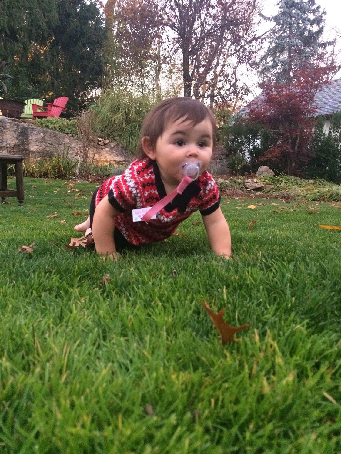 Toddler crawling on the grass